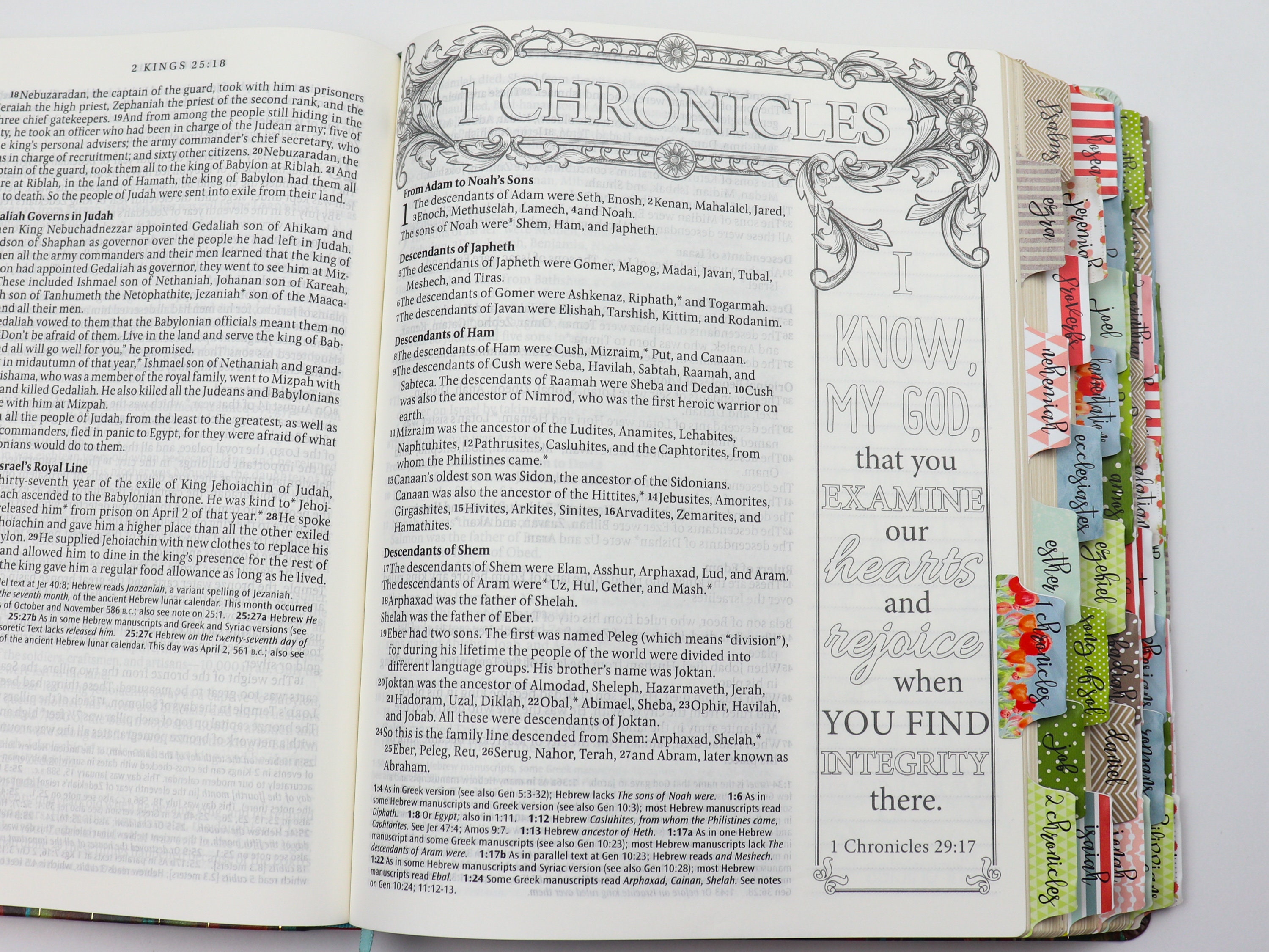 NLT Large Print Journaling Bible Bundle Colorful Cover NLT Etsy Nlt large print journaling bible bundle colorful cover nlt etsy