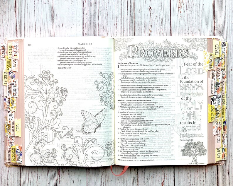 Catholic NLT Inspire Large Print Journaling Bible Bundle Rose Etsy