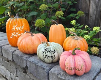 Personalized Hand Lettered Faux Pumpkin: Orange/Sage/Pink Fall Decor