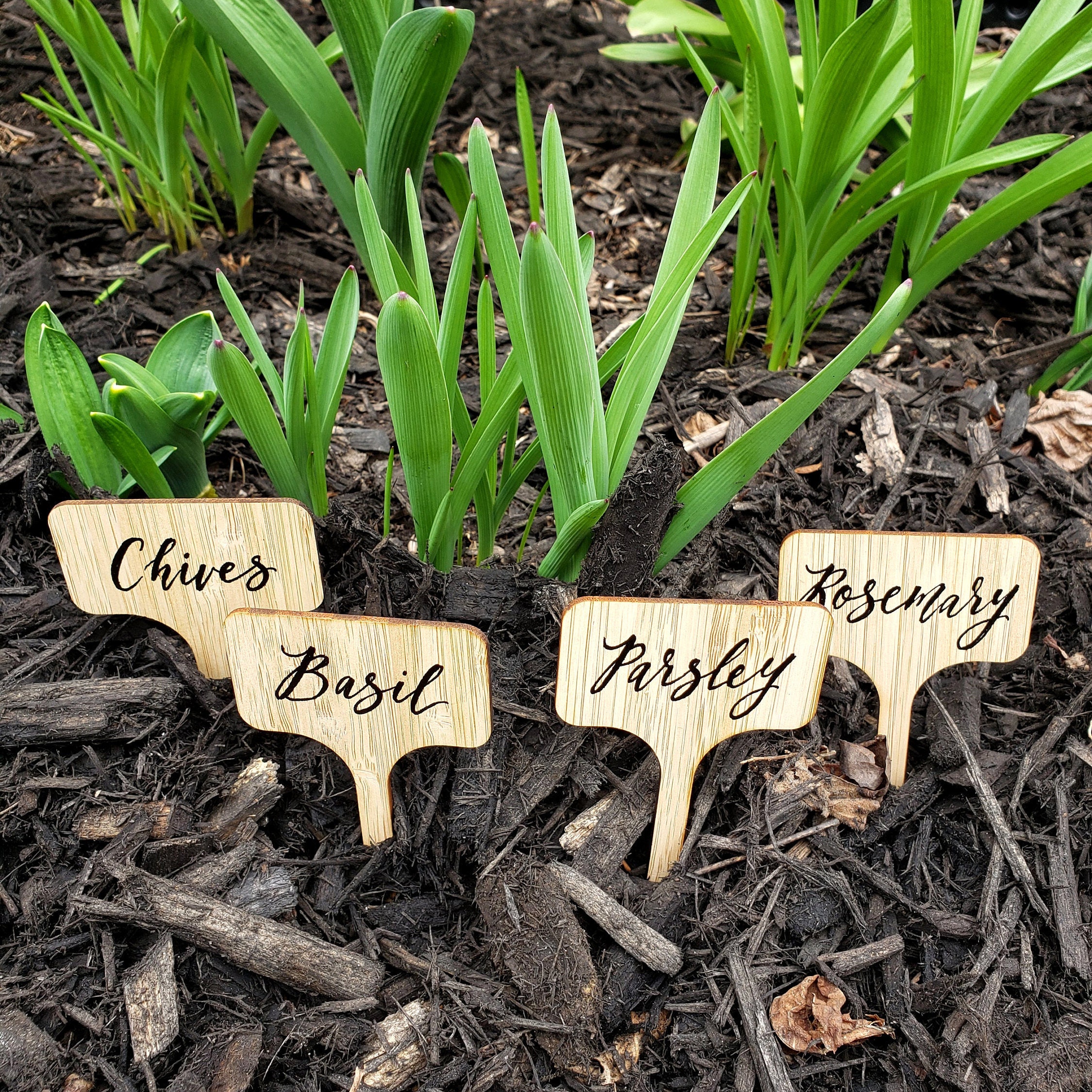 Garden Markers Outdoor Plant Markers for Garden Herb Marker Etsy UK