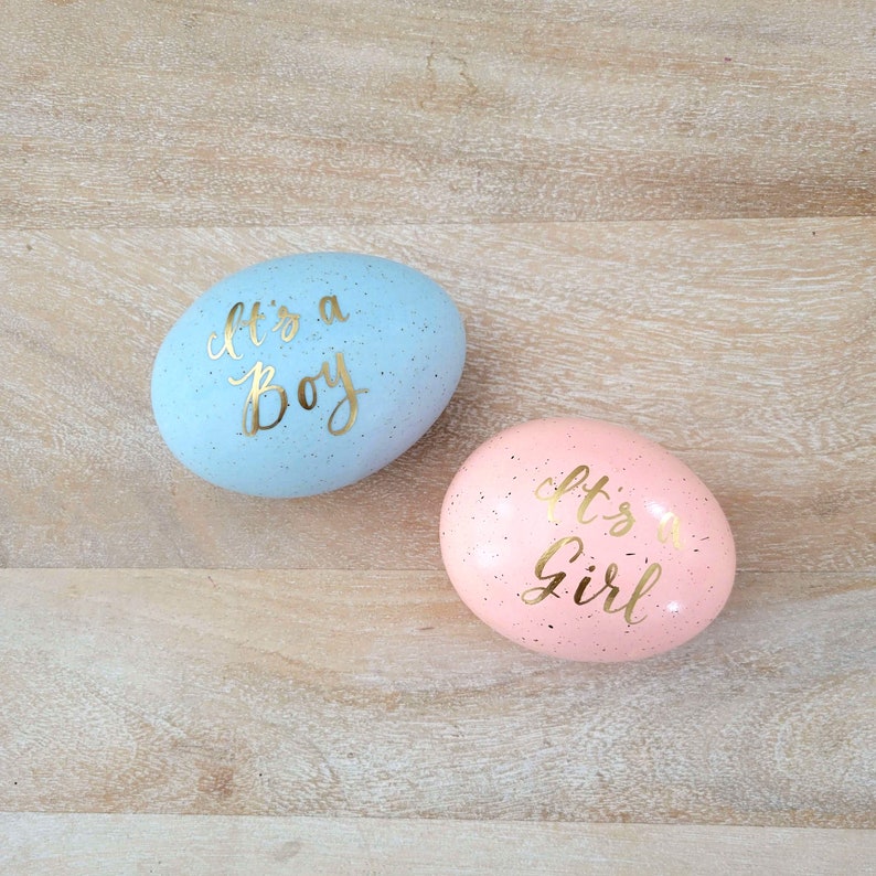 Easter Egg Gender Reveal Pregnancy Announcement It's a Etsy
