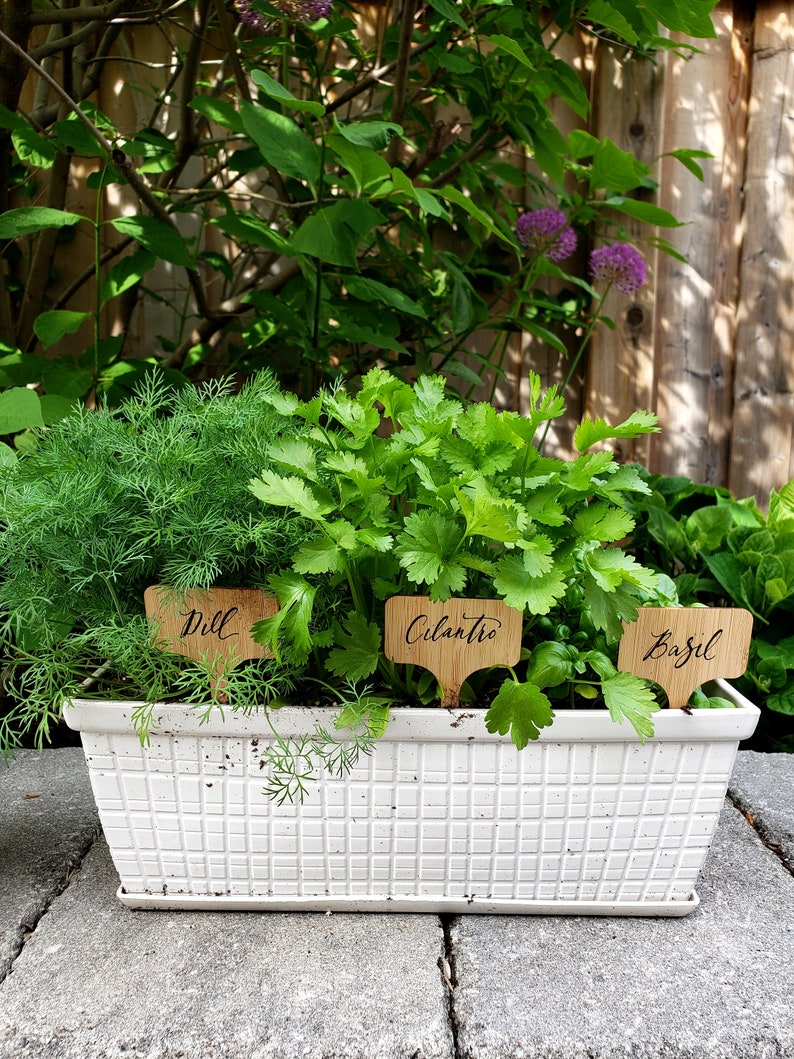 Mother's Day Gardener Gift Plant Markers for Garden Herbs Etsy