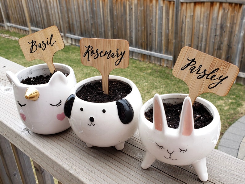 Personalized Ceramic Animal Planter Pot for Succulent Herb Etsy
