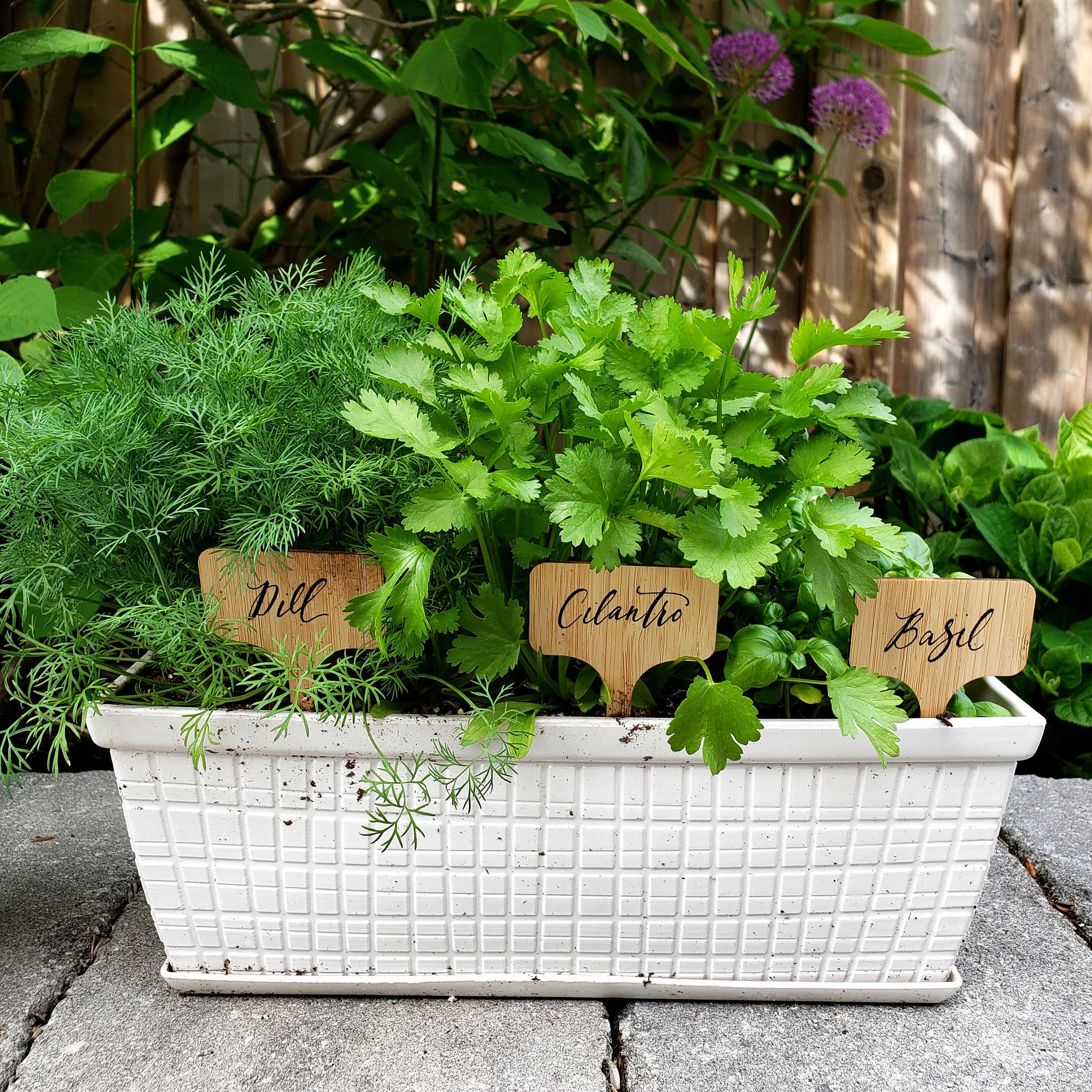 Garden Markers Outdoor Plant Markers for Garden Herb Marker Etsy UK