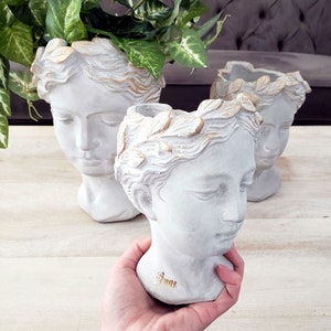 Greek Goddess Head Planter Personalized for Mother's Day Gift, Woman Bust Face Planter, Outdoor Cement Head Statue, Flower Crown Head Pot image 4