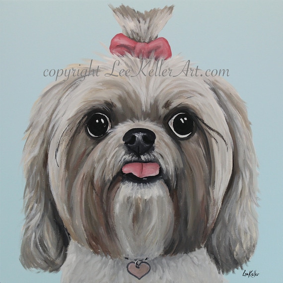 original shih tzu images