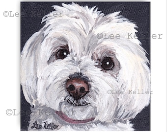 May include: Square painting of a white dog with a fluffy coat, brown eyes, and a pink collar. The dog's nose is brown, and the background is dark. The artist's signature is in the lower left corner.