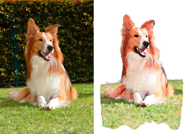 Custom Pet Portrait from Photo