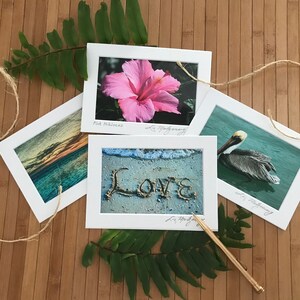 Note Cards Nature set of 4 with envelopes send or frame