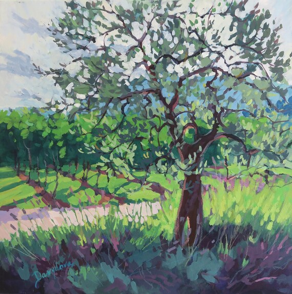 Olivenbaum,Weinberge und Lavendel - Etsy.de