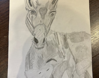 Bleistiftzeichnung eines Esels