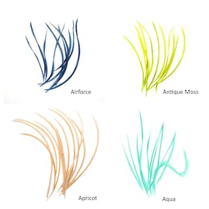 Könnte beinhalten: Vier Sätze Federn in verschiedenen Farben: Airforce Blau, Antique Moss Grün, Apricot und Aqua. Jeder Satz ist fächerförmig angeordnet.