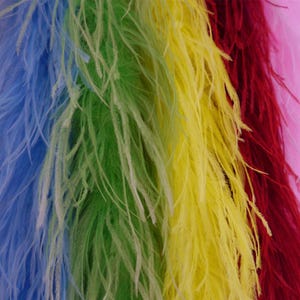 Ostrich Feather Boa 3-Ply x1m - BO001