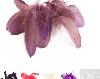Goose Feathers x 20pcs - FE009
