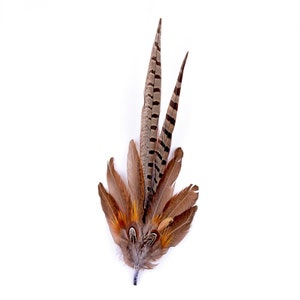 Natural Pheasant Feather Mount FM013