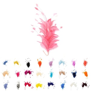 Goose Feather Stripped Coq Mount 22cm - FM082