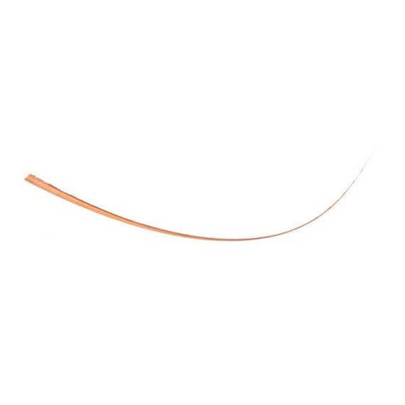 ostrich spine feather