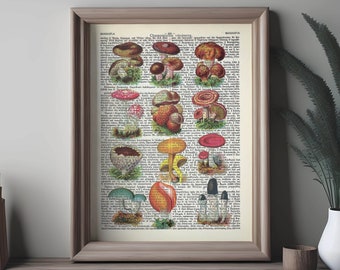 Vintage Botanical Mushroom Print 2, Antique Giclee Poster Floral wall art Living room Decor Kitchen Neutral Gallery Farmhouse wall hanger