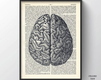 Vintage Anatomical Brain Print, Antique Giclee Poster Biology wall art Living room Decor Office Neutral Gallery wall workshop wall hanger