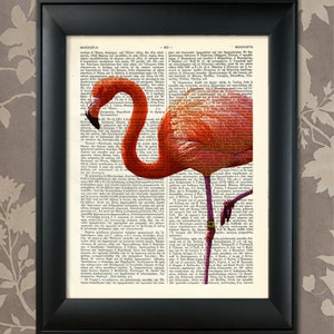 Pink Flamingo, Flamingo Print, Flamingo Art, Flamingo Poster, Pink Flamingo Art, Wildlife decor, Wildlife Art, Wildlife Print, Bird Art