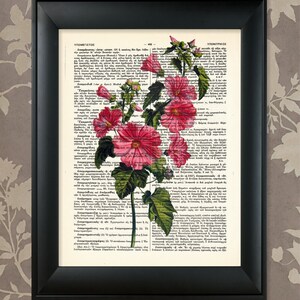 Flower Illustration Pink / Upcycled Antique Dictionary Art Print / 8.5&quot;x11&quot; (210x280 mm) Poster / Vintage Greek Encyclopedia