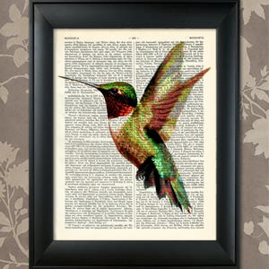 Kolibri Print, 1, Kolibri Art, Kolibri Kunst, Kolibri Poster, Kolibri Dekor, Kolibri Wandkunst, Colibri Print, Vogel Druck