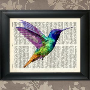 Kolibri Print, 3, Kolibri Kunst, Kolibri Kunst, Kolibri Poster, Kolibri Dekor, Kolibri Wandkunst, Kolibri Print, Vogel Druck