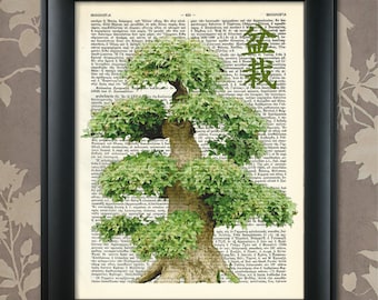 Bonsai Tree Print, 7, Bonsai Print, Bonsai Art, Bonsai Poster, Bonsai Decor, Bonsai Wall Art, Japanese Bonsai, Japanese Art, Zen Decor