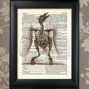 Bird Anatomy study / Upcycled Antique Dictionary Art Print / 8.5&quot;x11&quot; (210x280 mm) Poster / Vintage Greek Encyclopedia