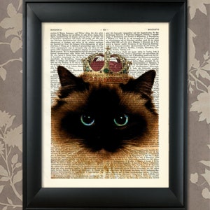Chat Ragdoll, Portrait de Ragdoll, Impression de Ragdoll, Art de chat de Ragdoll, Art de mur de Ragdoll, Portrait de chat d'animal familier, Chat fier de Ragdoll, Impressions de chat d'animal familier, races