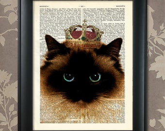 Ragdoll Cat, Ragdoll Portrait, Ragdoll Print, Ragdoll Cat art, Ragdoll wall art, Pet Cat Portrait, Orgoglioso Ragdoll Cat, Pet Cat Prints, razze