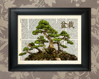 Bonsai Tree Print, 4, Bonsai Print, Bonsai Art, Bonsai Poster, Bonsai Decor, Bonsai Wall Art, Bonsai japonés, Arte japonés, Decoración Zen