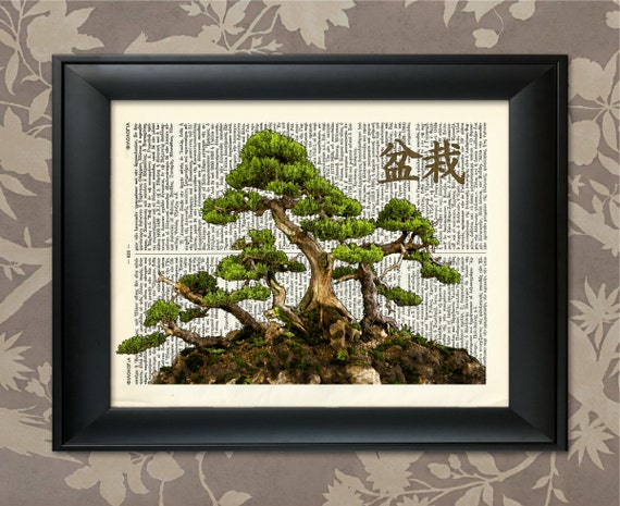Bonsai Tree Print, 4, Bonsai Print, Bonsai Art, Bonsai Poster, Bonsai  Decor, Bonsai Wall Art, Japanese Bonsai, Japanese Art, Zen Decor - Etsy
