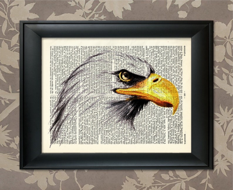 Pu&ograve; includere: Un'illustrazione in bianco e nero della testa di un'aquila calva con un becco e un occhio gialli. L'illustrazione &egrave; stampata su una pagina di libro vintage.