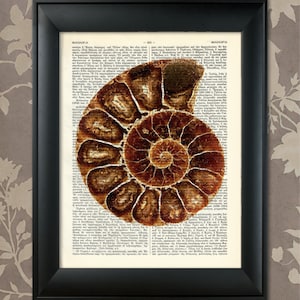 Nautilus Print, Nautilus Art, Nautilus Fossil Art, Nautilus Poster, Nautilus Decor, Nautilus Wall Art, Fossil Print,Fossil Art,Golden Number