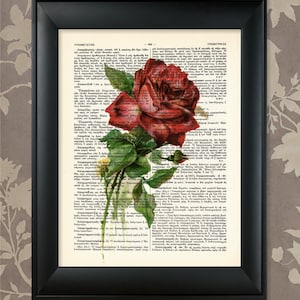 Flower Illustration Red / Upcycled Antique Dictionary Art Print / 8.5&quot;x11&quot; (210x280 mm) Poster / Vintage Greek Encyclopedia