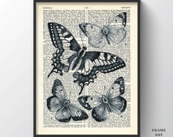 Vintage Butterfly Print, Antique Giclee Poster Biology wall art Living room Decor Office Neutral Gallery wall workshop wall hanger kitchen