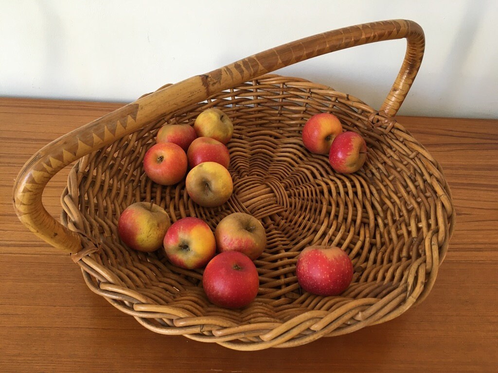 Panier Ancien , Panier Plat en Osier avec Anse, Cadeau Amoureux de La Nature, Pâques