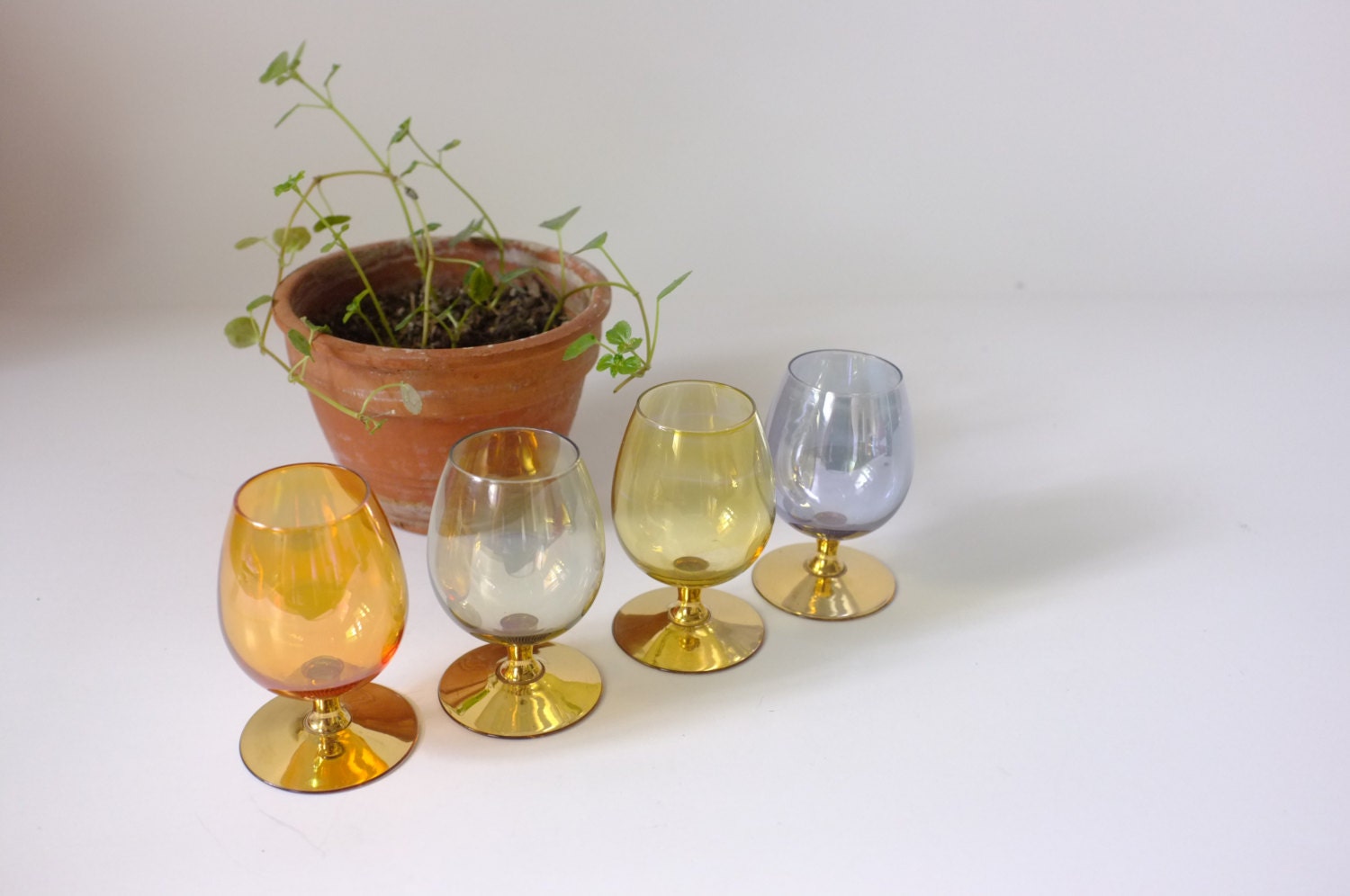 Verres Années Cinquante, Verres Colorés Pour Digestif, 50, Cadeau Papa