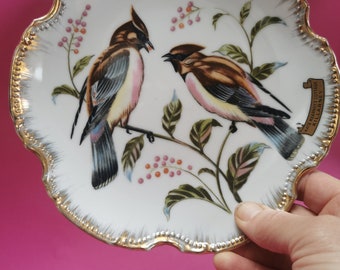 Vintage Irish Birds Wall Plate