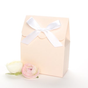 Favor Boxes, Blush Favor Boxes, Blush Bridal Shower, Blush Wedding Favor Boxes, Ivory Favor Boxes, Blush Favor Bags, Blush Box, Favour Boxes