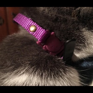 Op de afbeelding: Een close-up van een paarse kattenhalsband met een gouden gesp en een paarse plastic sluiting.