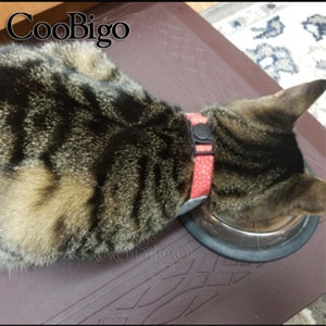 Op de afbeelding: Een tabbykat met een rood-wit gepolka-dotte halsband met een zwarte gesp eet uit een roestvrijstalen kom. De kat bevindt zich op een bruin, gepatroneerd oppervlak.