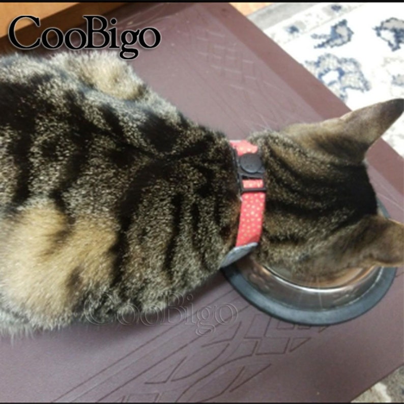 Op de afbeelding: Een tabbykat met een rood-wit gepolka-dotte halsband met een zwarte gesp eet uit een roestvrijstalen kom. De kat bevindt zich op een bruin, gepatroneerd oppervlak.