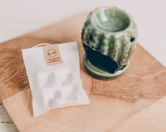 Cactus Wax Melt Burner Gift Set: Soy Wax Essential Oil Vegan