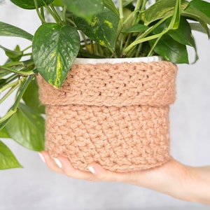 Op de afbeelding: Een lichtbruine gehaakte plantenpot met een groene plant met bladeren.