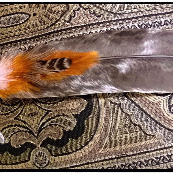 Unique Turkey Spirit Totem Smudge Feather Fan Shamanic Tool Reiki Healing Gemstones Crystal Quartz Aragonite Redline Marble Cruelty Free