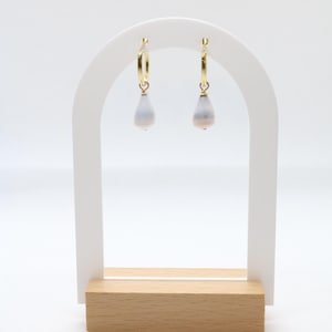 Mini Hawaiian Cone Shell Huggie Hoop Earrings | 14k Gold Filled