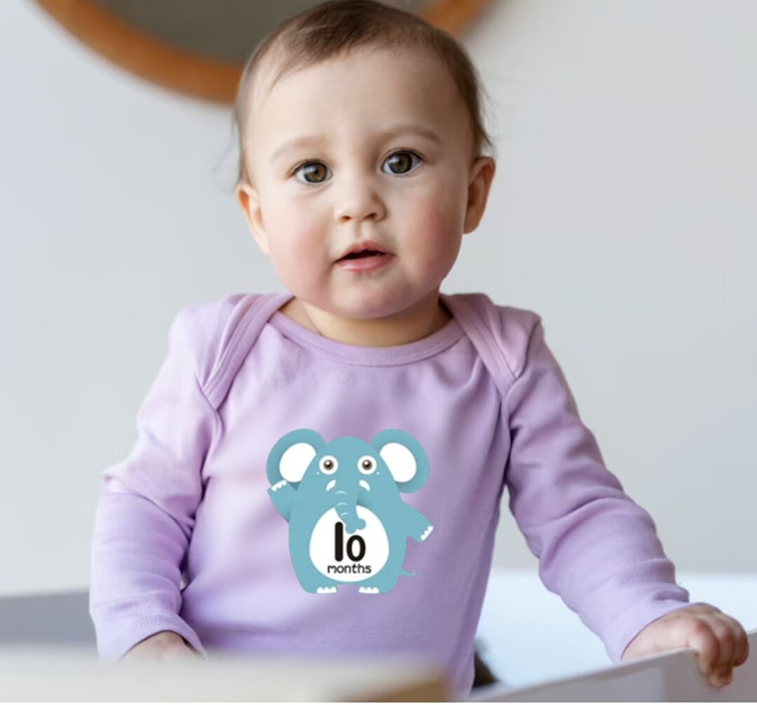Age Sticker Photo Sticker Capture 1 Month to 12 Months 12 Etsy