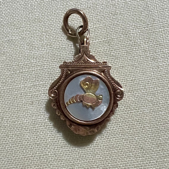 Antique Victorian DRAGONFLY Locket in GF